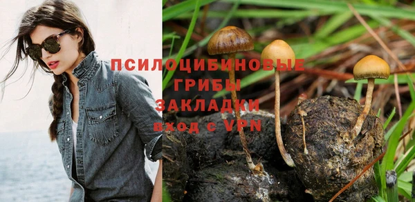 PSILOCYBIN Алексеевка